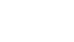 鸿雁哀鸣网